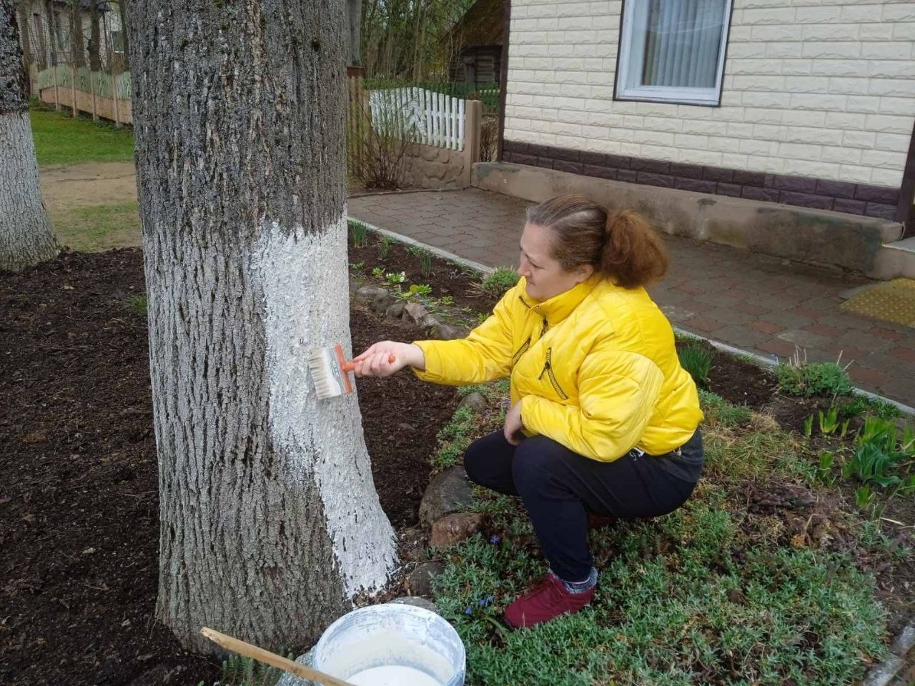 photo_2026-04-17_16-50-40