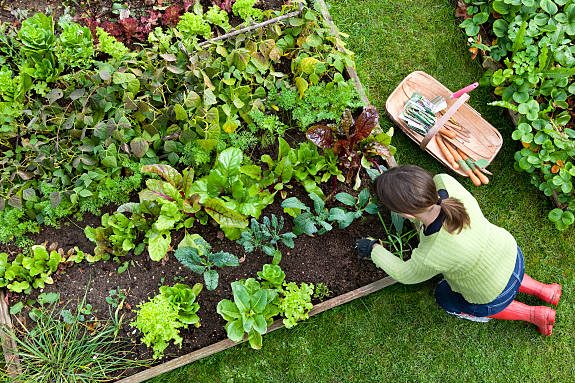 istockphoto-157505043-612x612