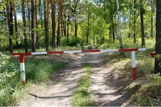 лесхоз
