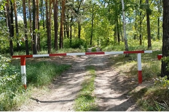 лесхоз