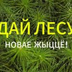 daj-lesu-novae-zhyccjo