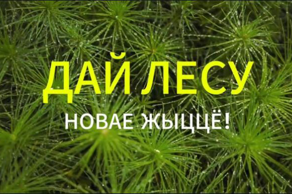 daj-lesu-novae-zhyccjo